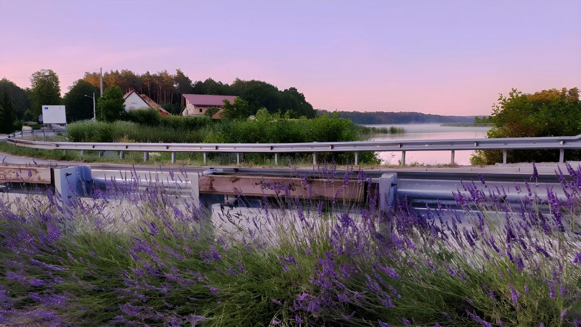 Wrzosowy Mlyn - Twoje Miejsce Nad Jeziorem Miedzyrzecz ภายนอก รูปภาพ