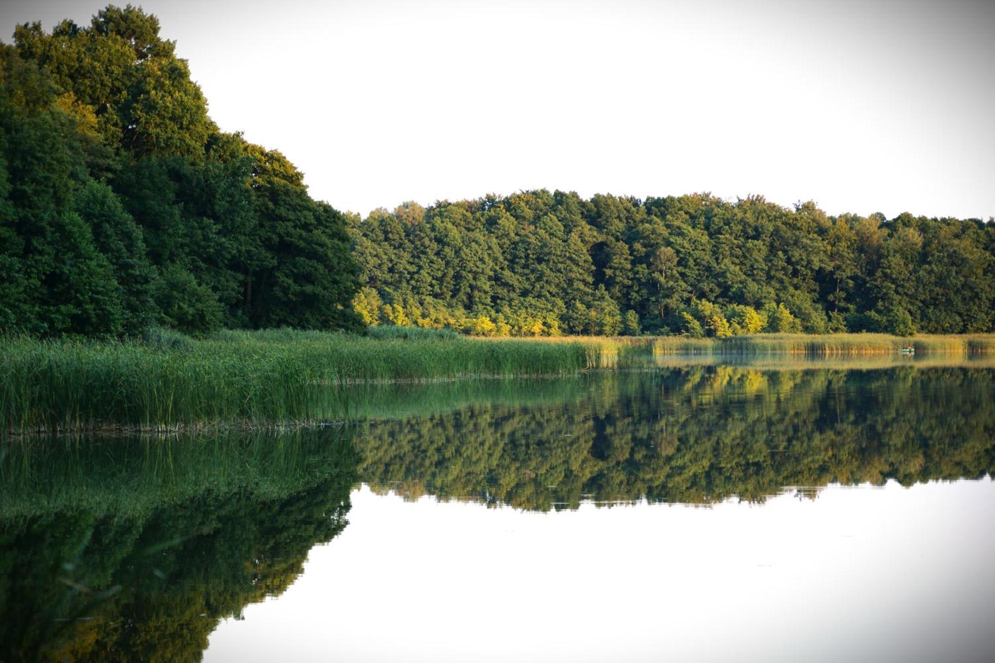 Wrzosowy Mlyn - Twoje Miejsce Nad Jeziorem Miedzyrzecz ภายนอก รูปภาพ
