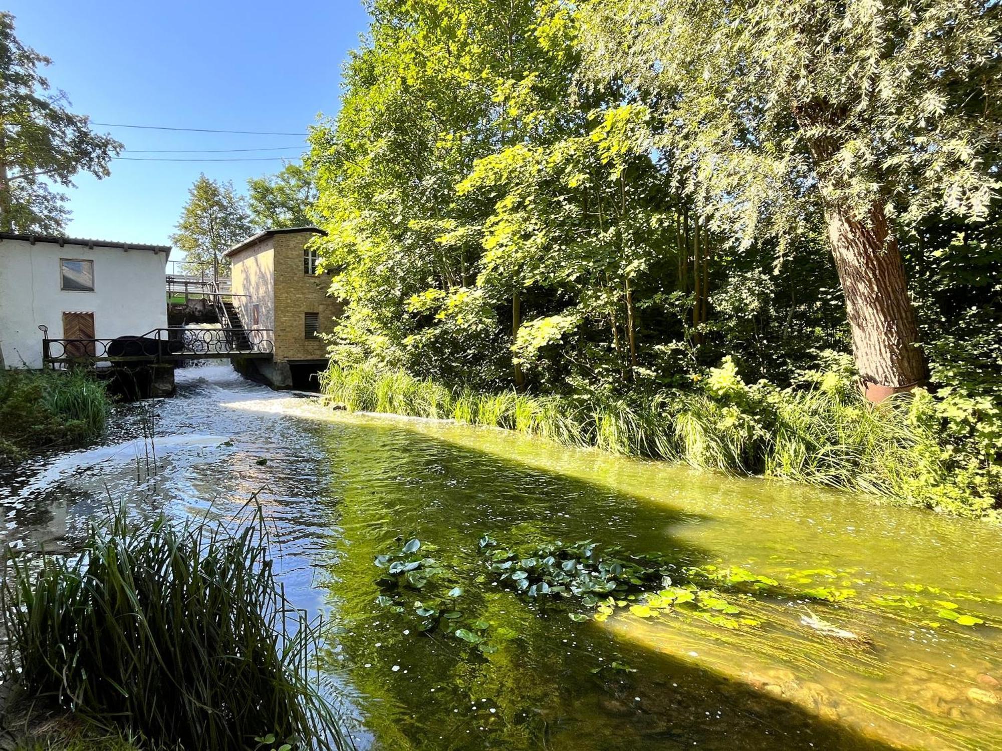 Wrzosowy Mlyn - Twoje Miejsce Nad Jeziorem Miedzyrzecz ภายนอก รูปภาพ